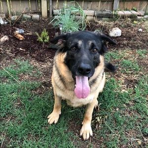 Meet your Posher, Sandi